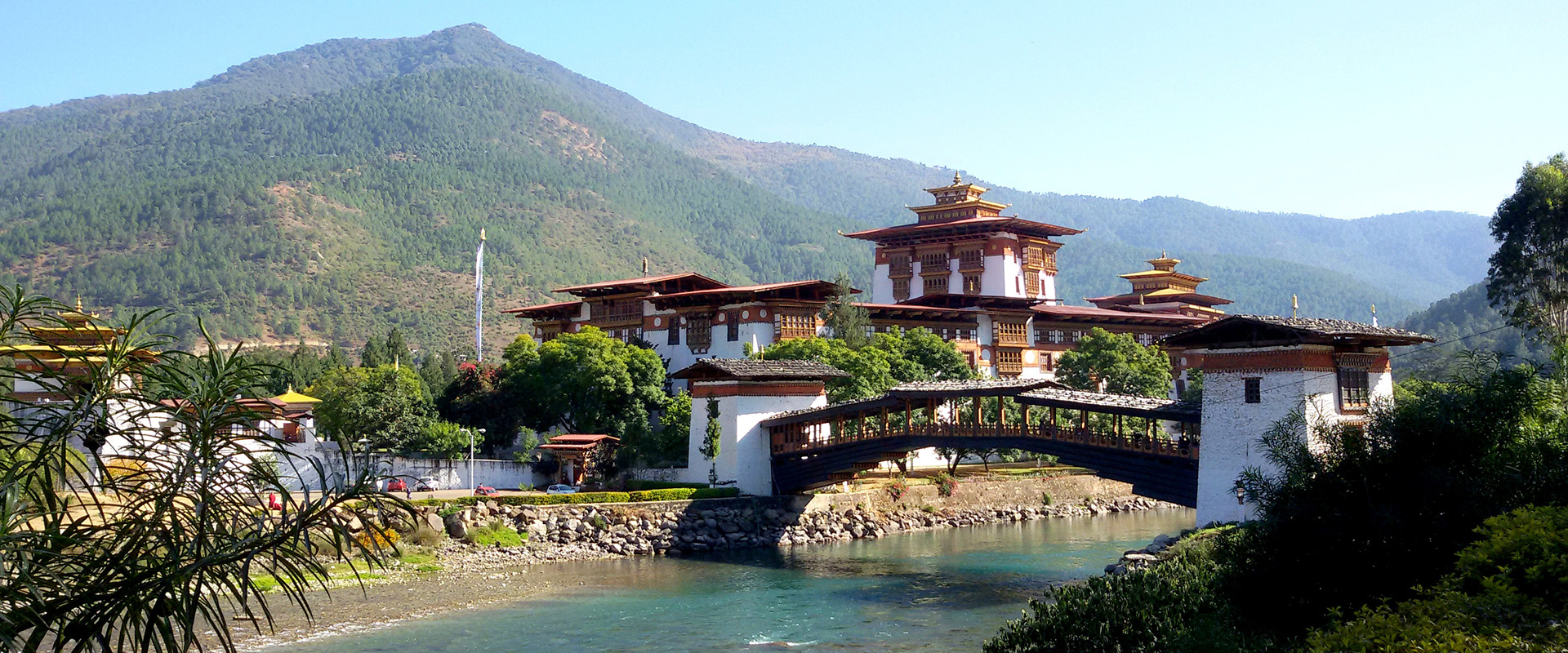 Bhutan Sparkle